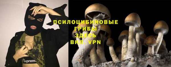 спиды Володарск
