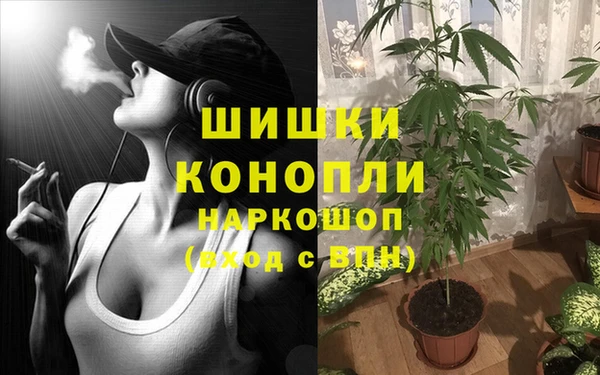МДПВ Волоколамск