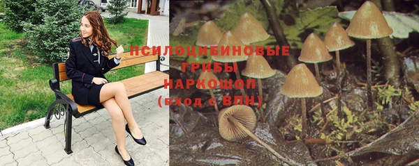 спиды Волосово
