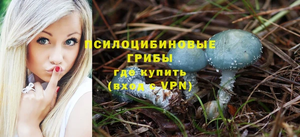 МДПВ Волоколамск