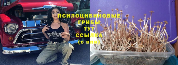 спиды Волосово