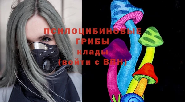спиды Володарск